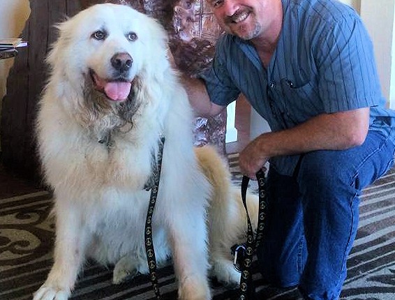 Ajax, aka “Jax”…