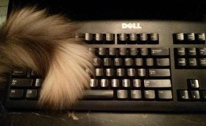 “Between Venus & Mars” & more&nbsp;~