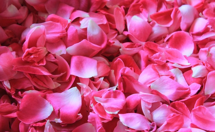 For My Softest&nbsp;One